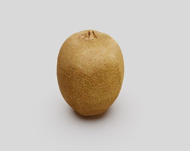 Kiwi Fruit 3D model 2