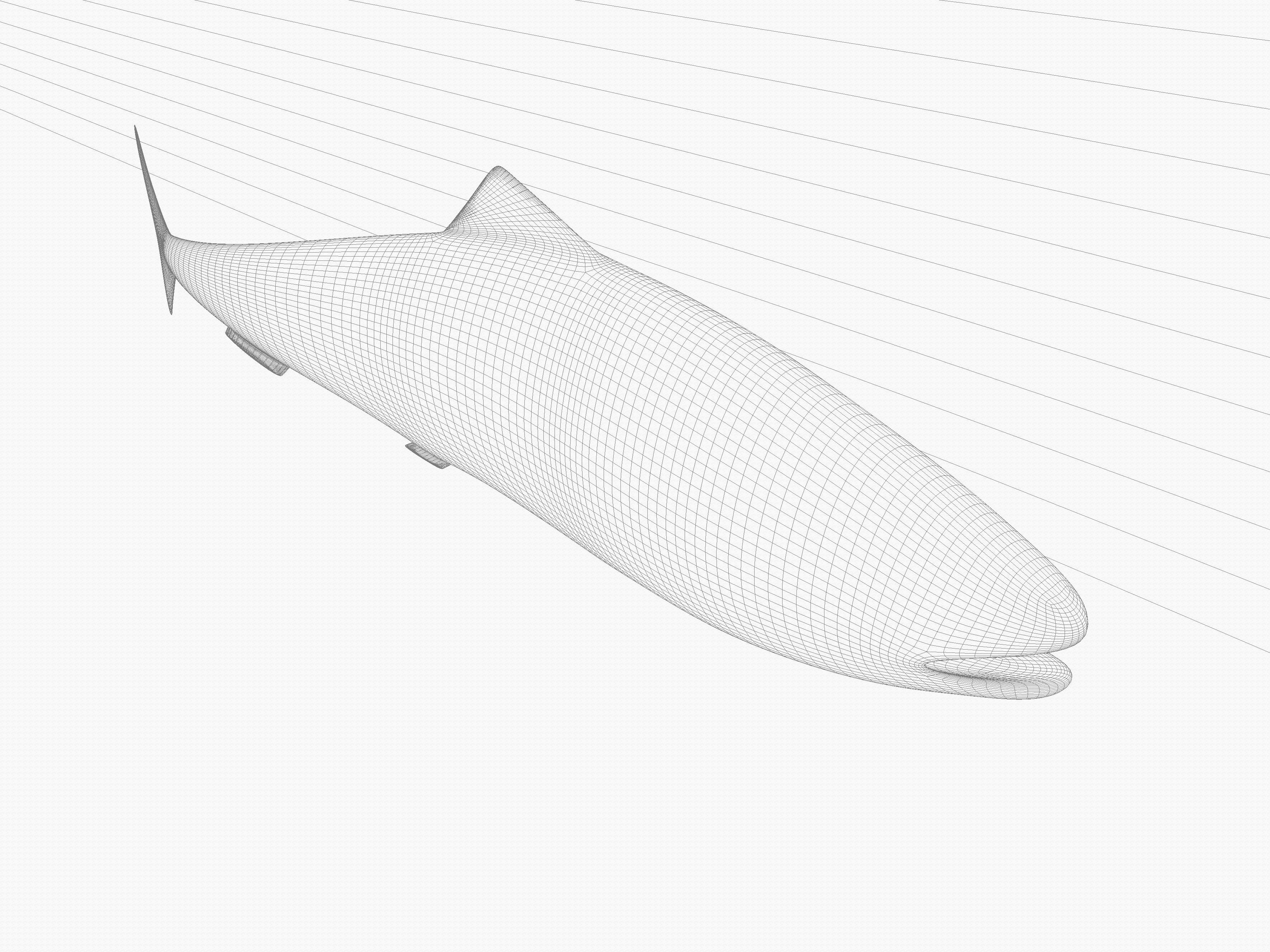 Sardine Pilchard Model 3D model_10