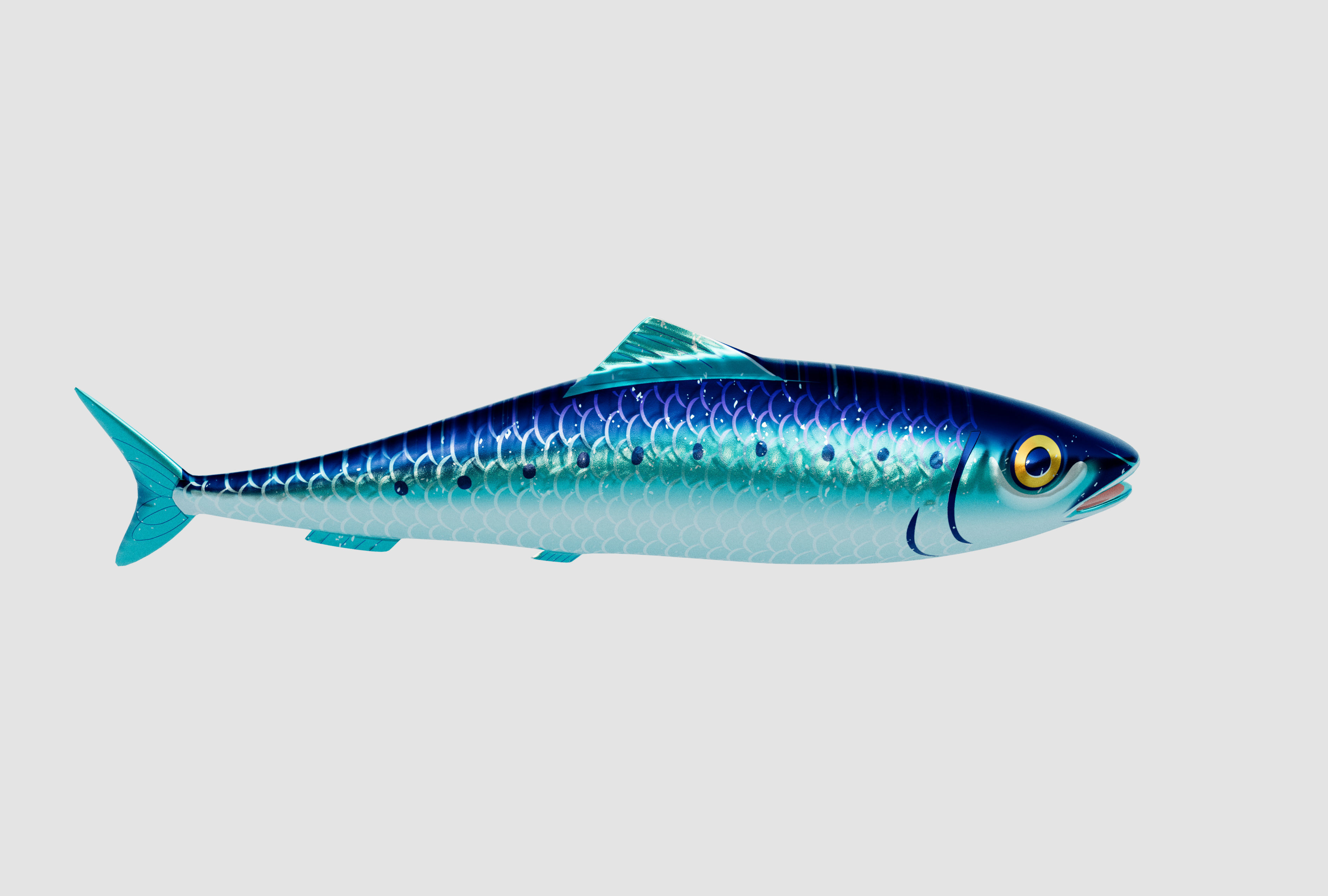 Sardine Pilchard Model 3D model_2