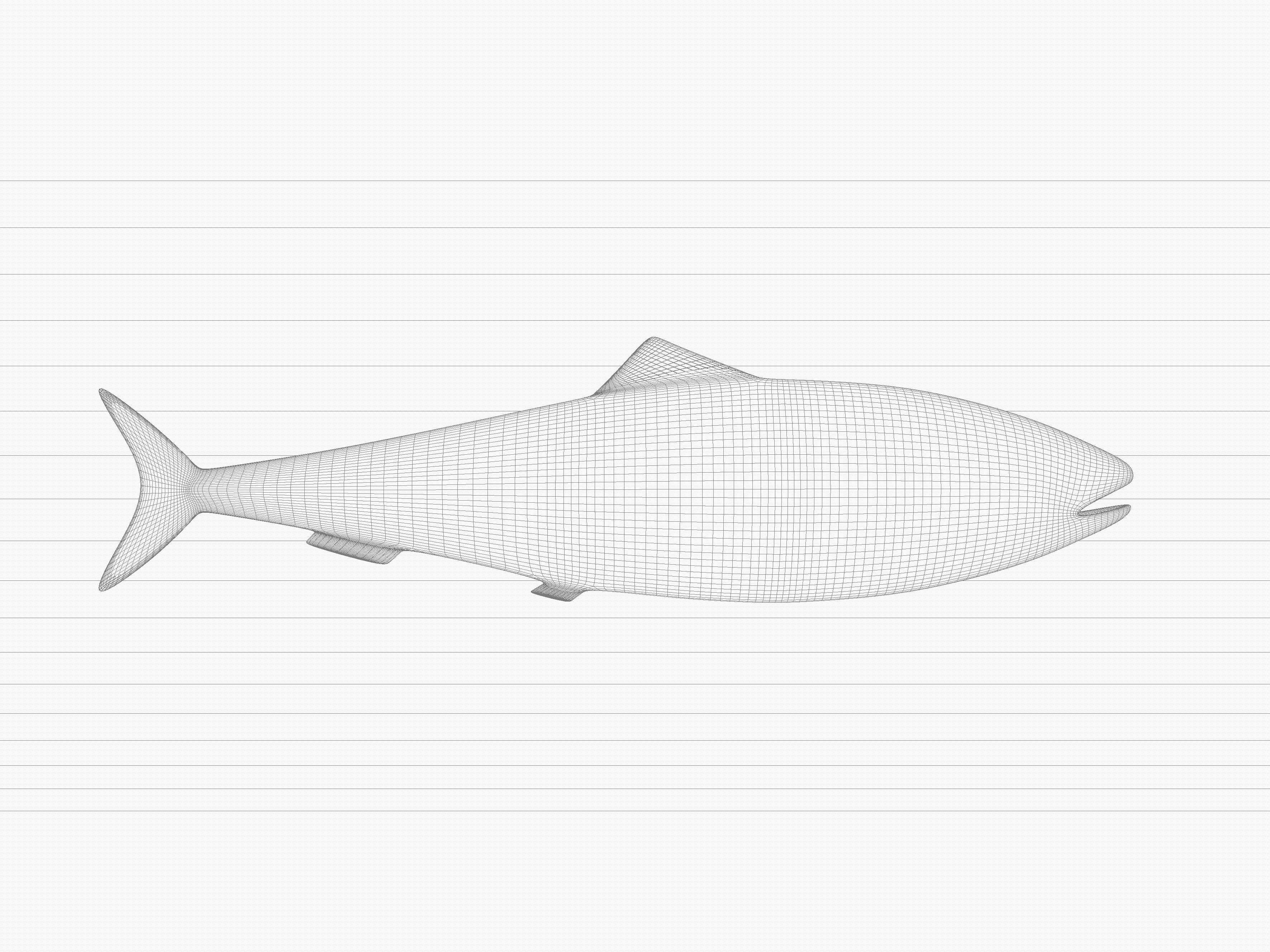 Sardine Pilchard Model 3D model_7