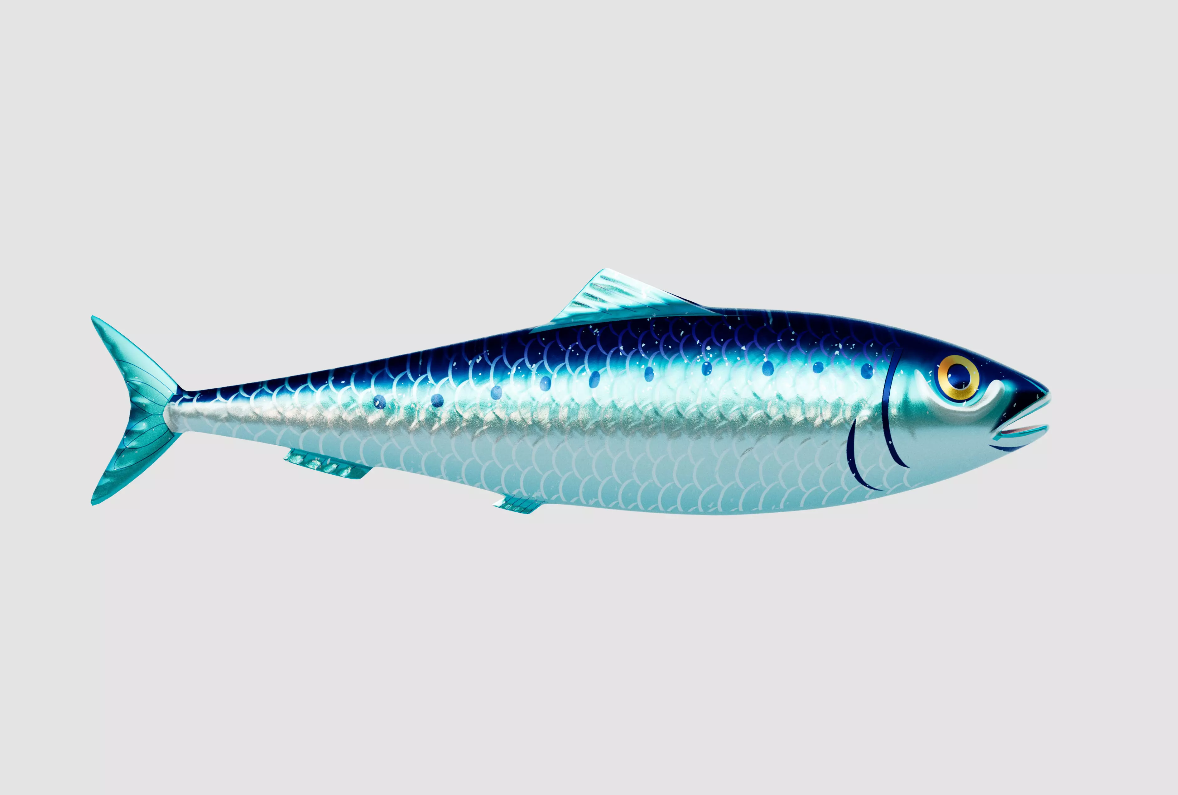 Sardine Pilchard Model 3D model_0