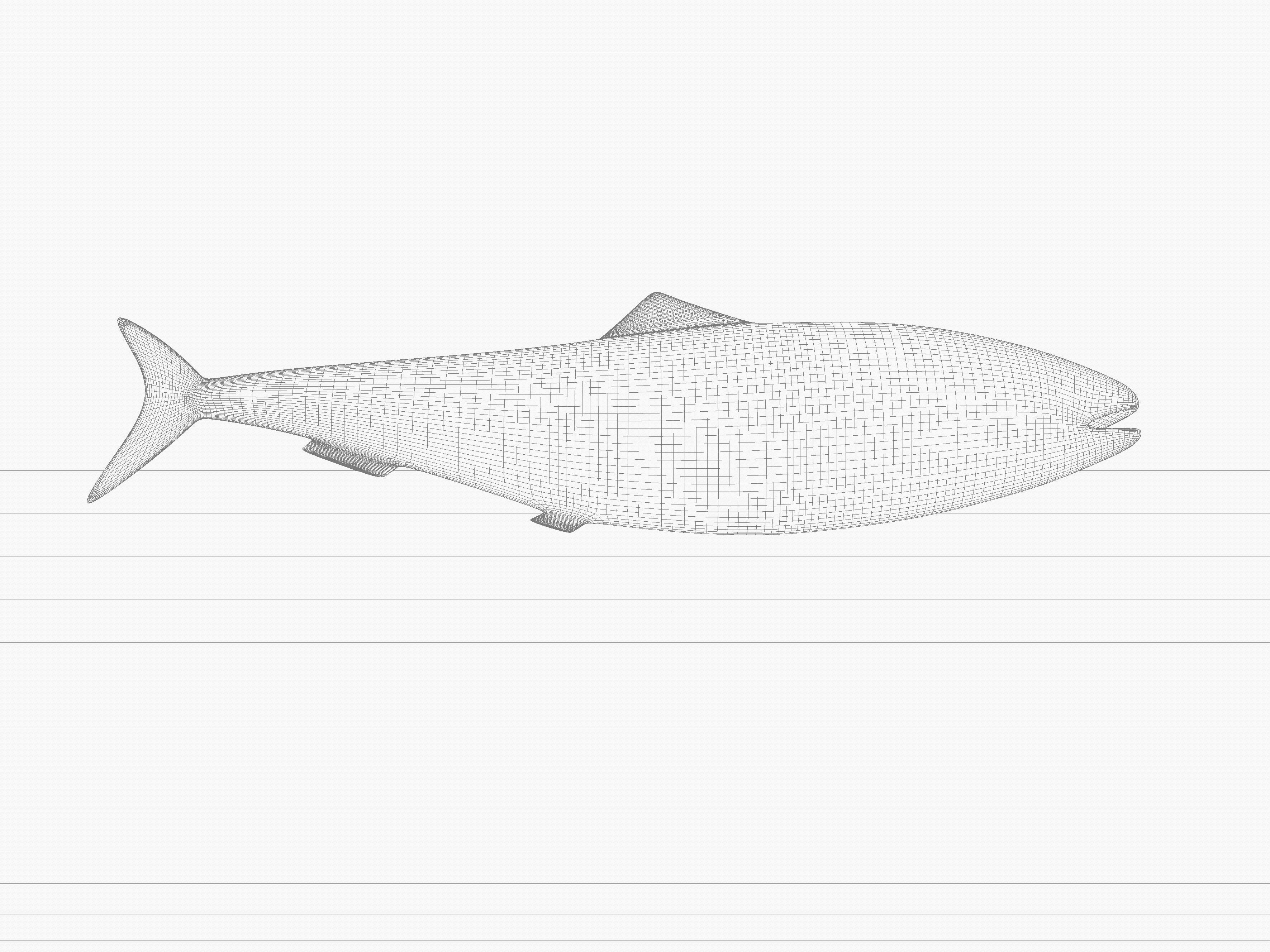 Sardine Pilchard Model 3D model_8