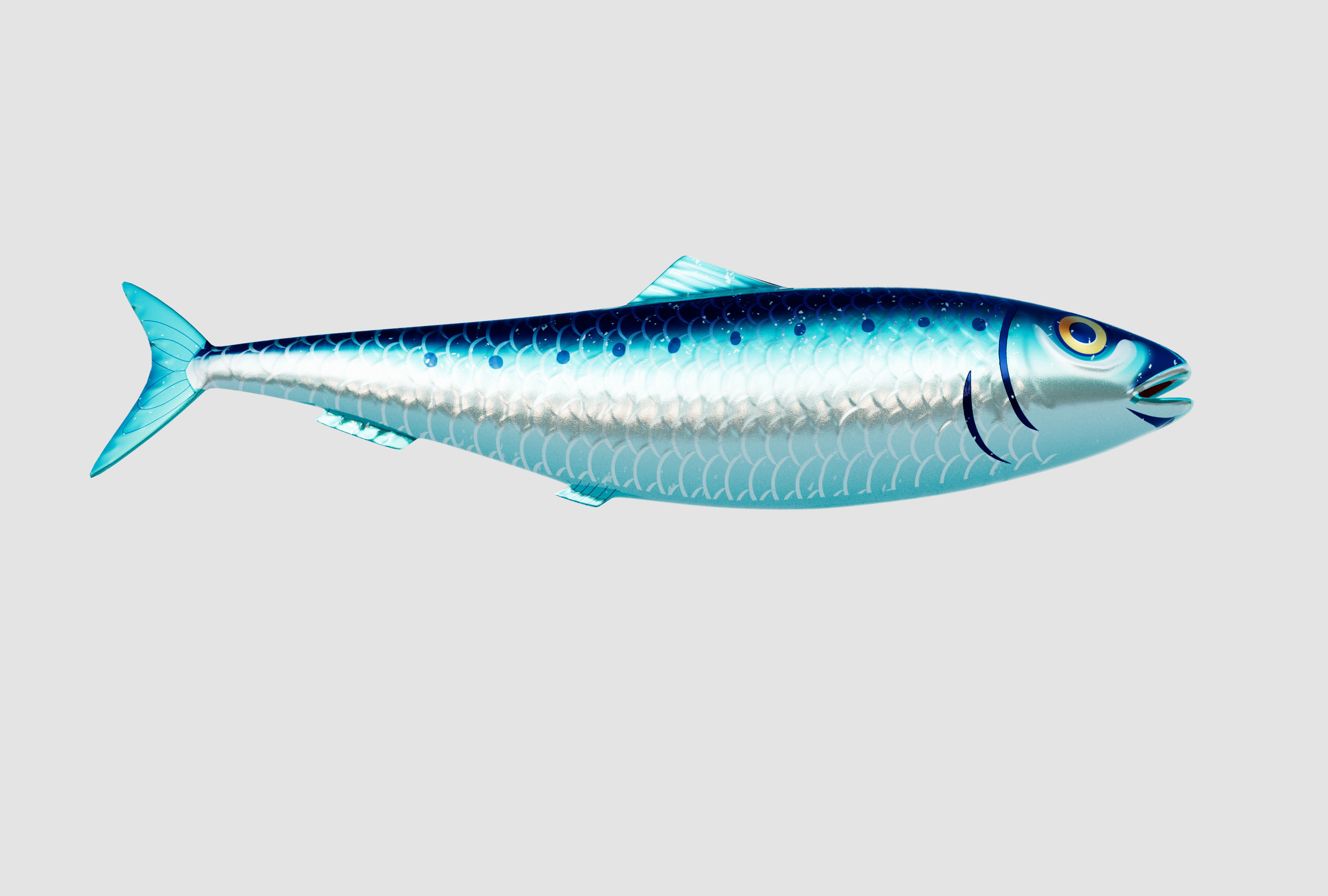 Sardine Pilchard Model 3D model_1