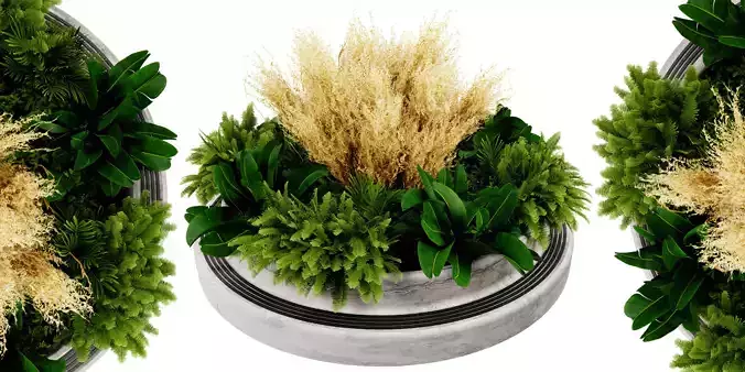 Collection plant vol 530 - blender model 3D model