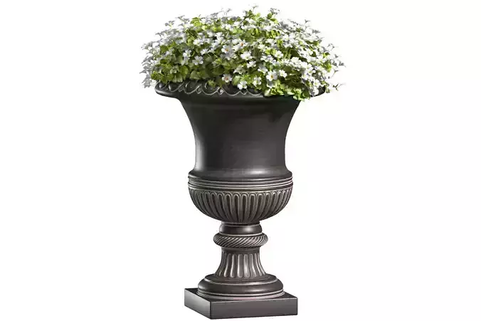 flowerbed of flowers in a classic vase for decoration Patio 