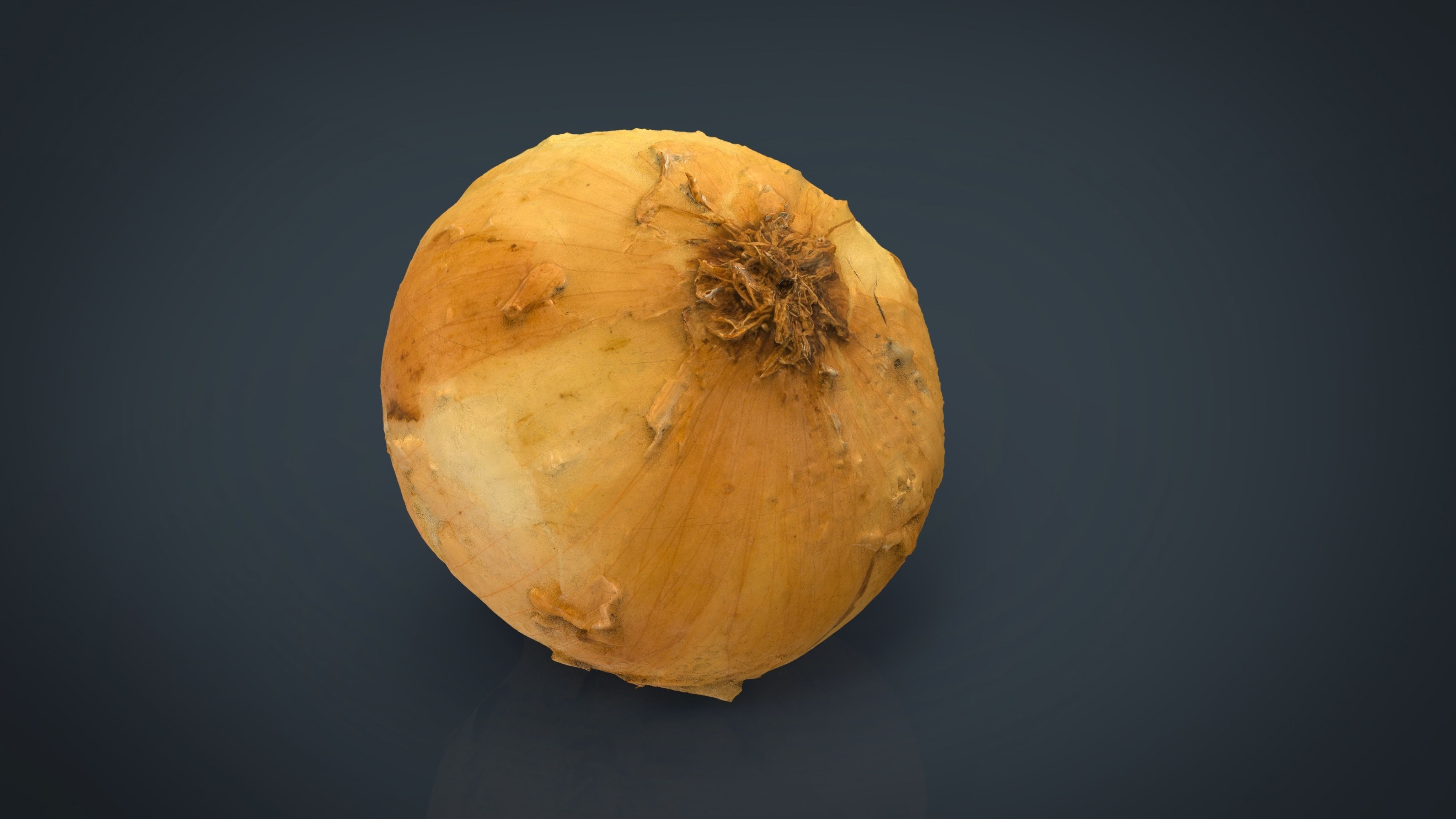 Onion Low-poly 3D model_10