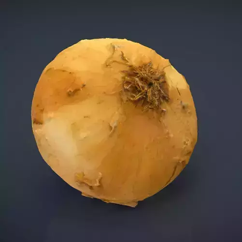 Onion Low-poly 3D model