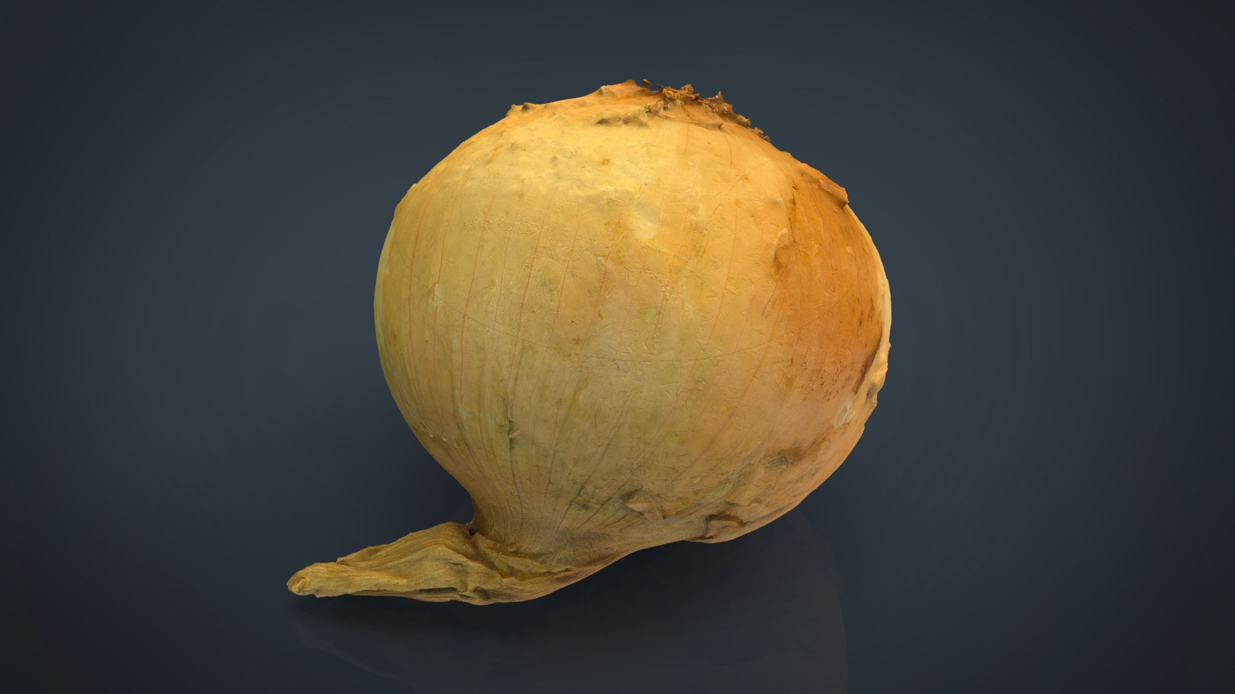 Onion Low-poly 3D model_9