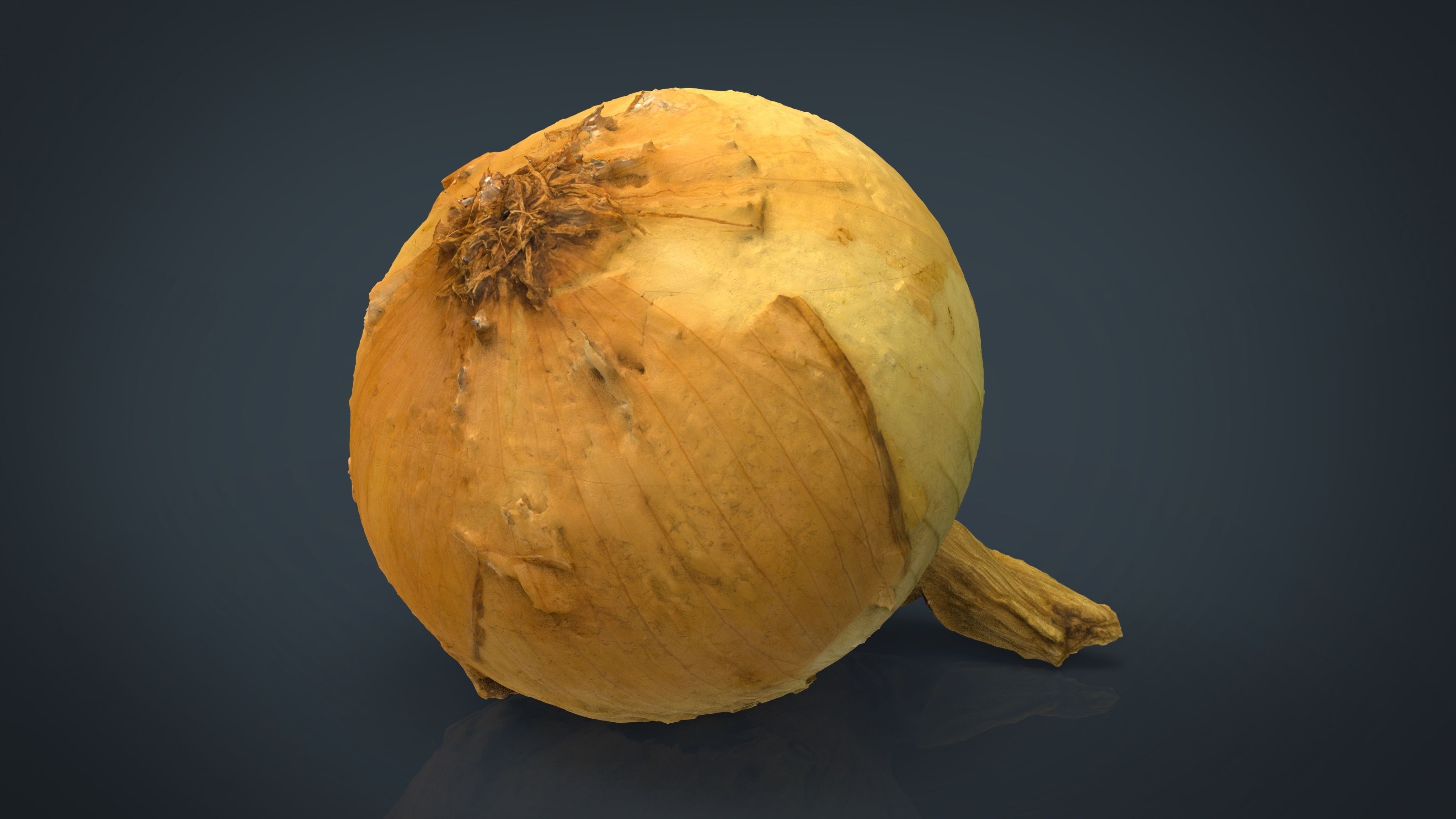Onion Low-poly 3D model_11