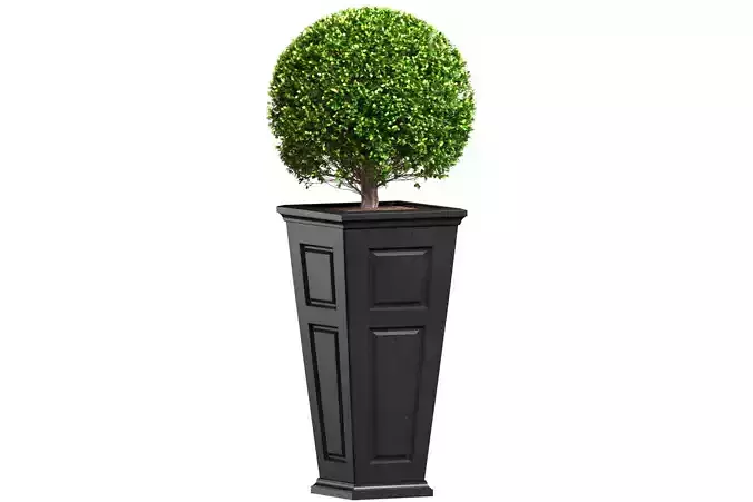 Contemporary Art Deco Boxwood in Pot Front Patio Porch Balcony