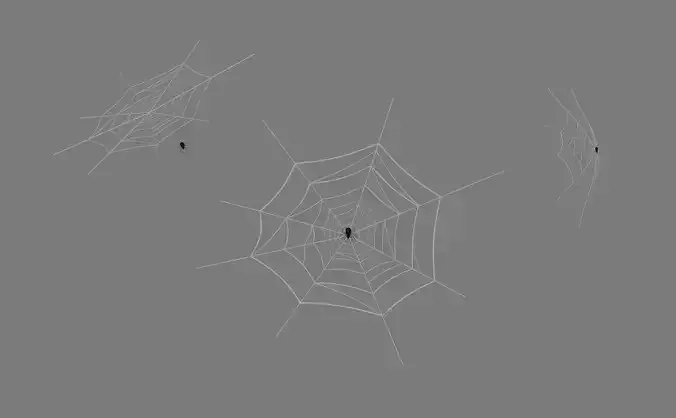 Web And Spider 3D model