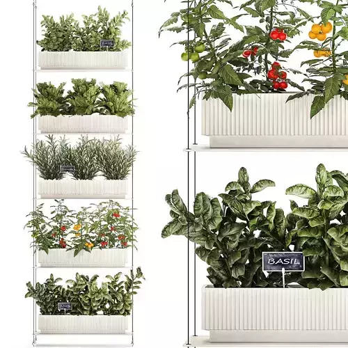 Vertical gardening kitchen garden vegetables tomatoes rosemary  3D model