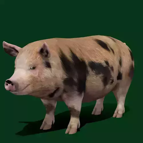 Oxford Sandy Forest Pig Animal Low-poly 3D model