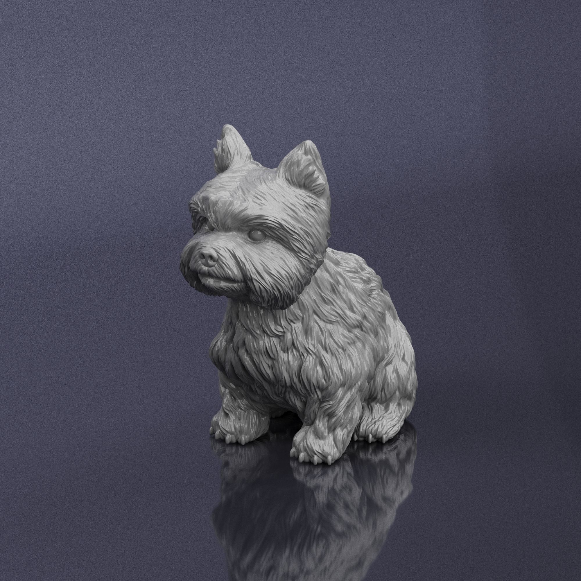 S00006 Dog Yorkshire Terrier 3D print model_1