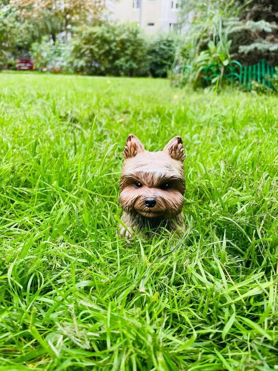 S00006 Dog Yorkshire Terrier 3D print model_0