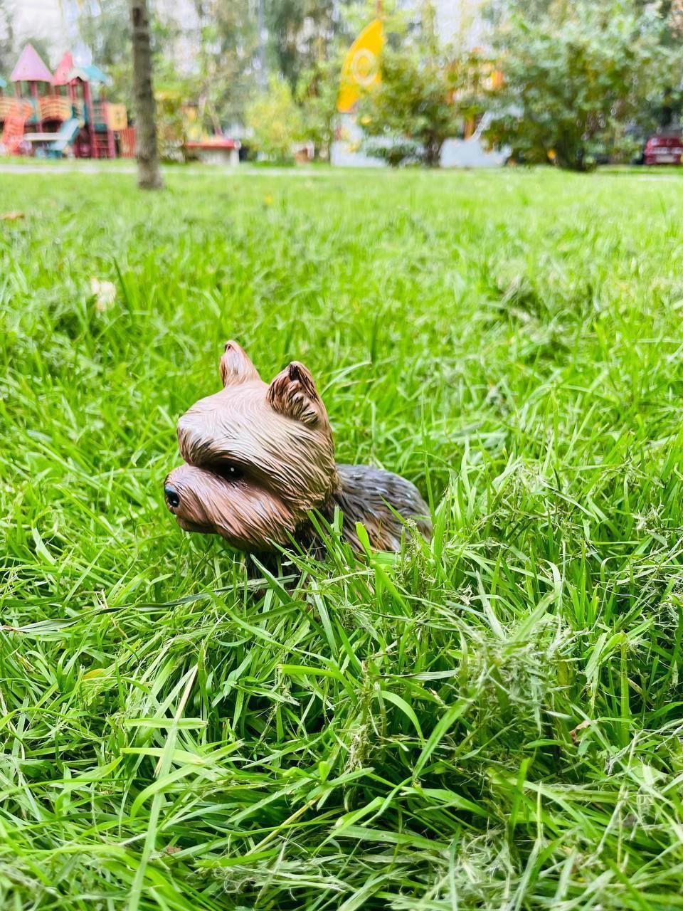 S00006 Dog Yorkshire Terrier 3D print model_2