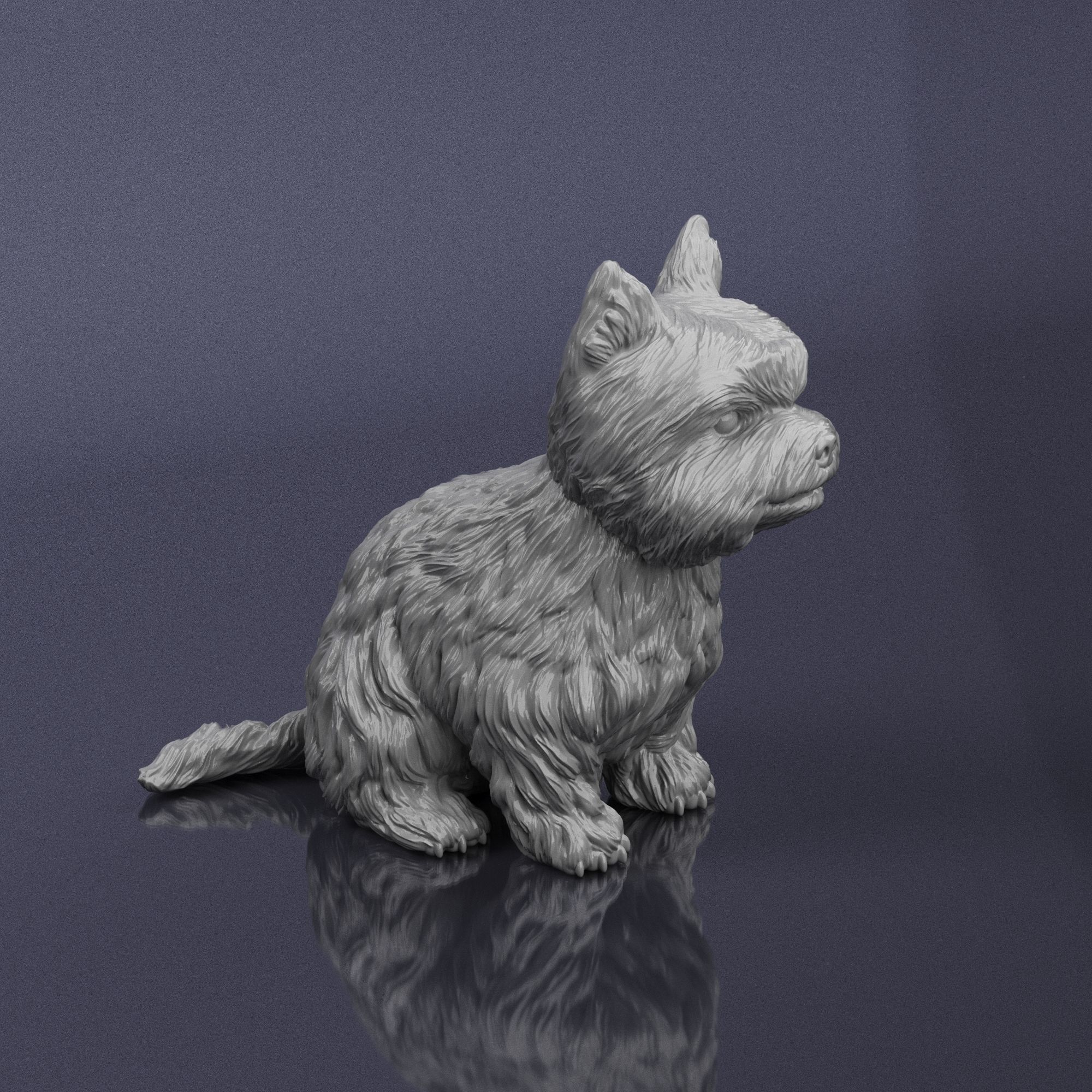 S00006 Dog Yorkshire Terrier 3D print model_3