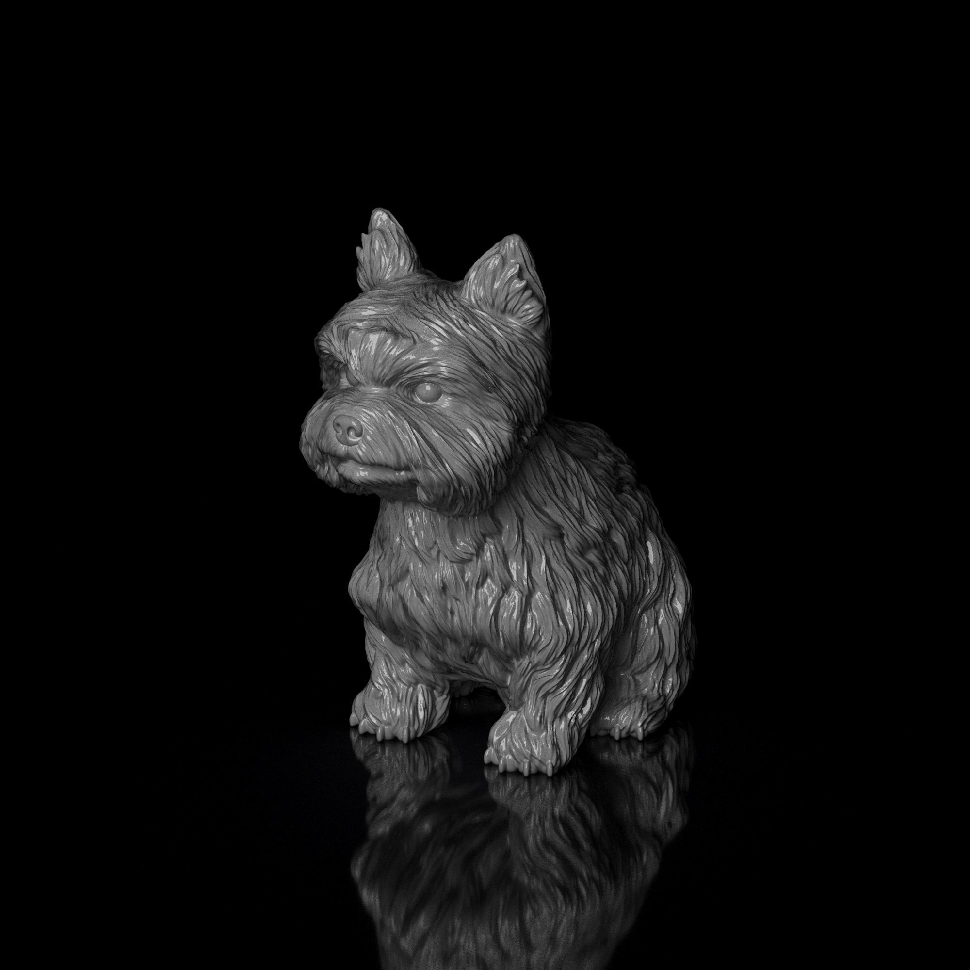 S00006 Dog Yorkshire Terrier 3D print model_5