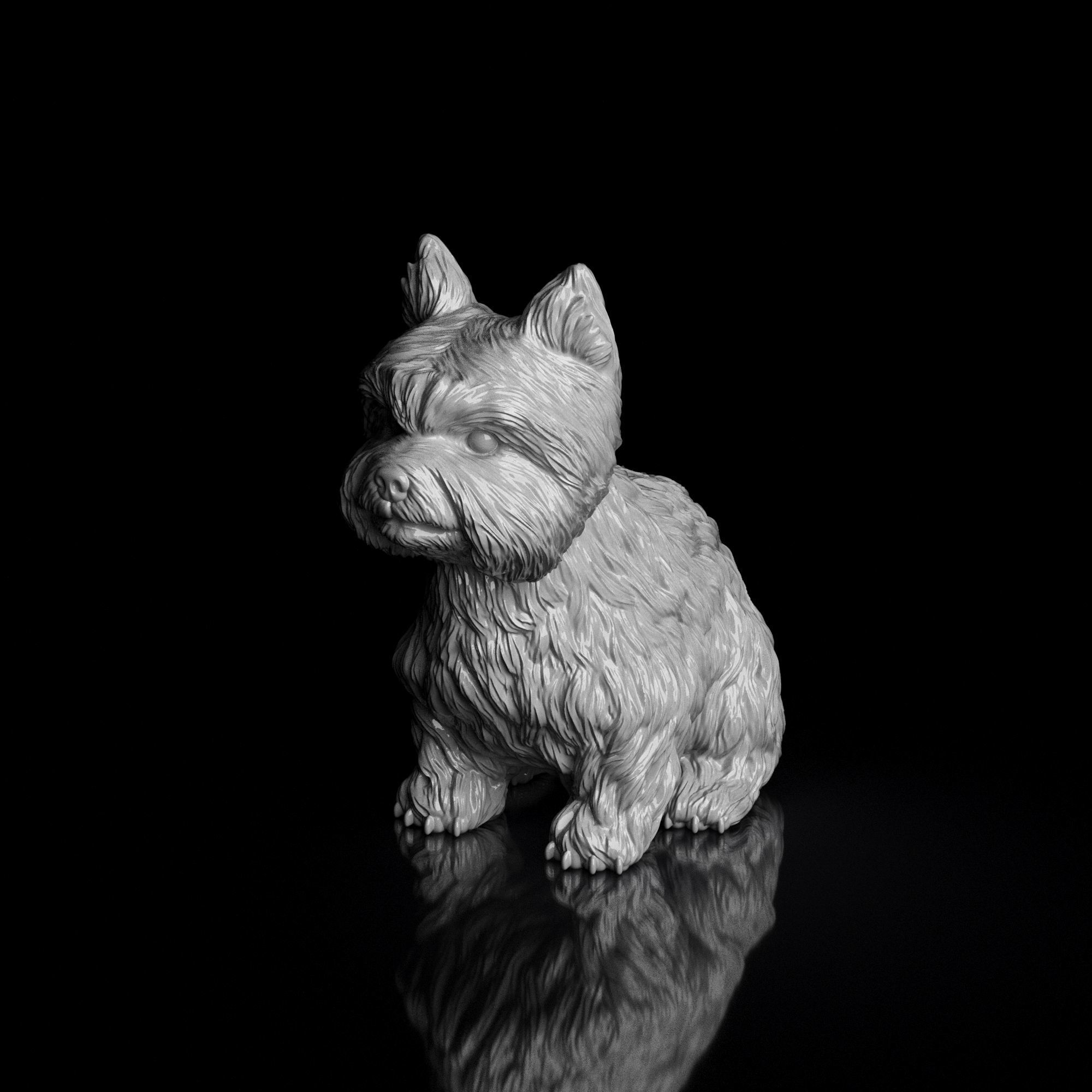 S00006 Dog Yorkshire Terrier 3D print model_7