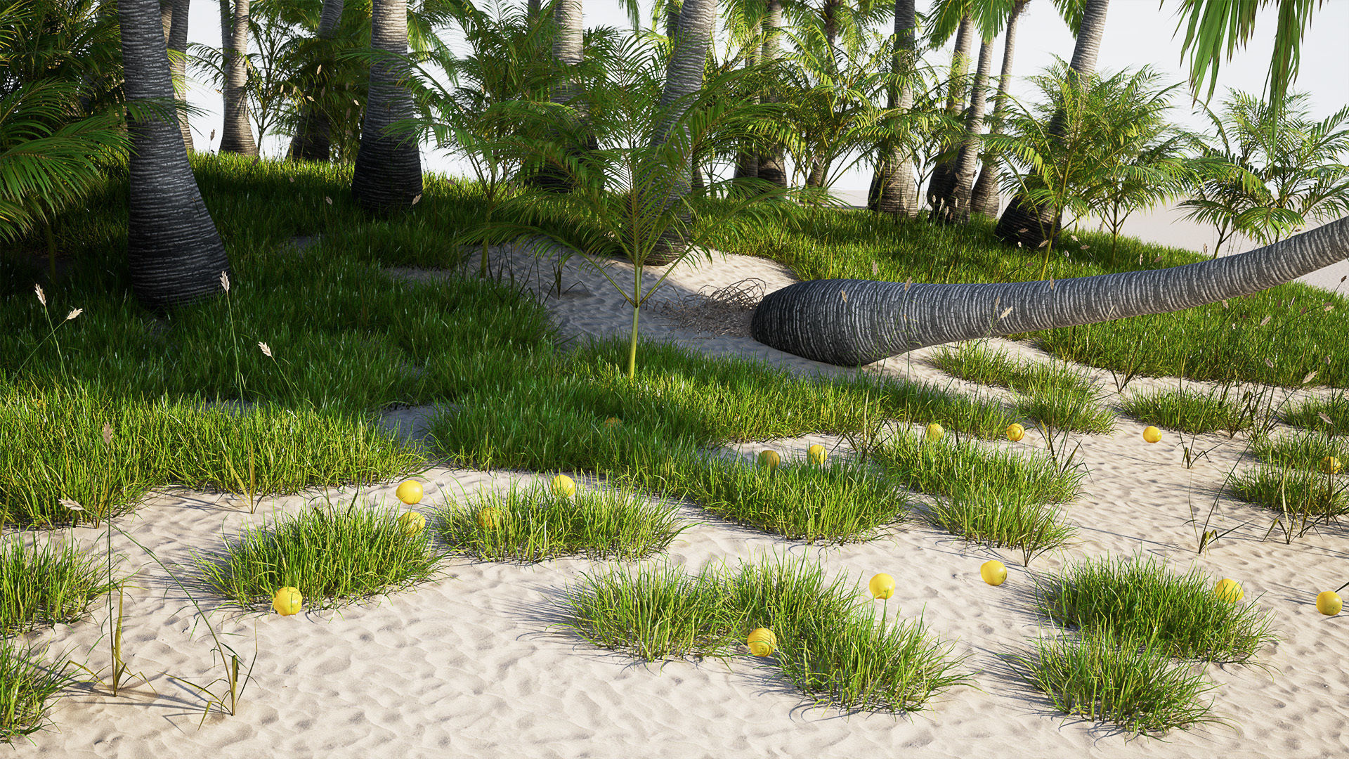 Tropical vegetation set 1 Low-poly 3D model_3