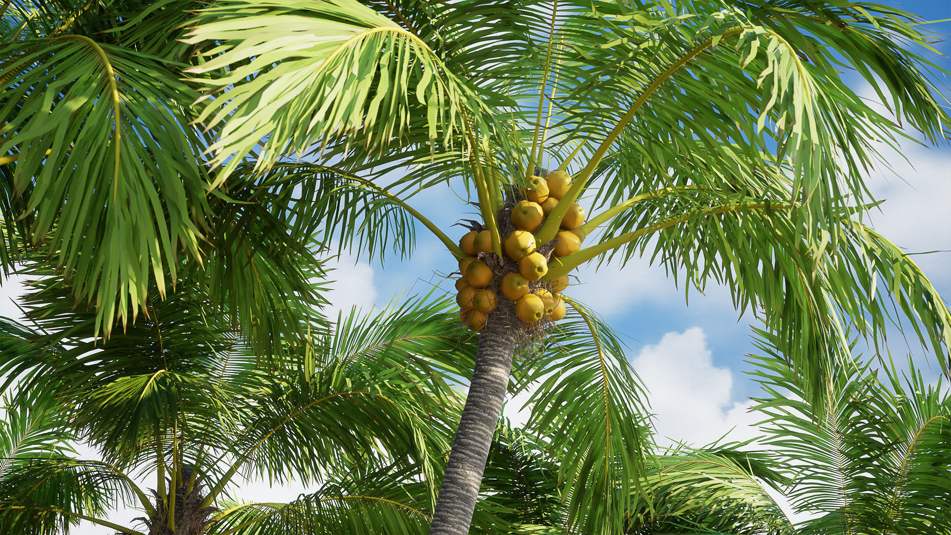 Tropical vegetation set 1 Low-poly 3D model_2