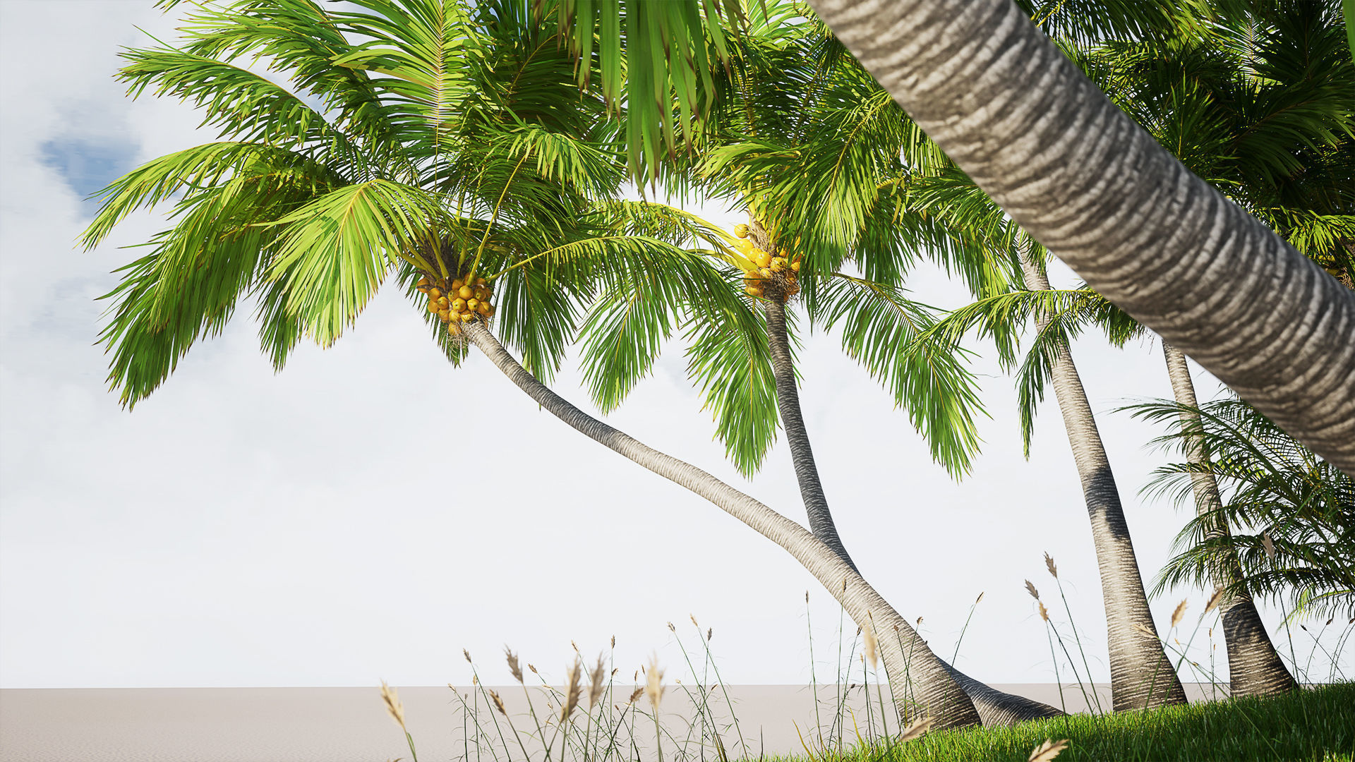 Tropical vegetation set 1 Low-poly 3D model_1