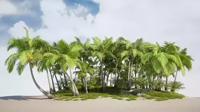 Tropical vegetation set 1 Low-poly 3D model