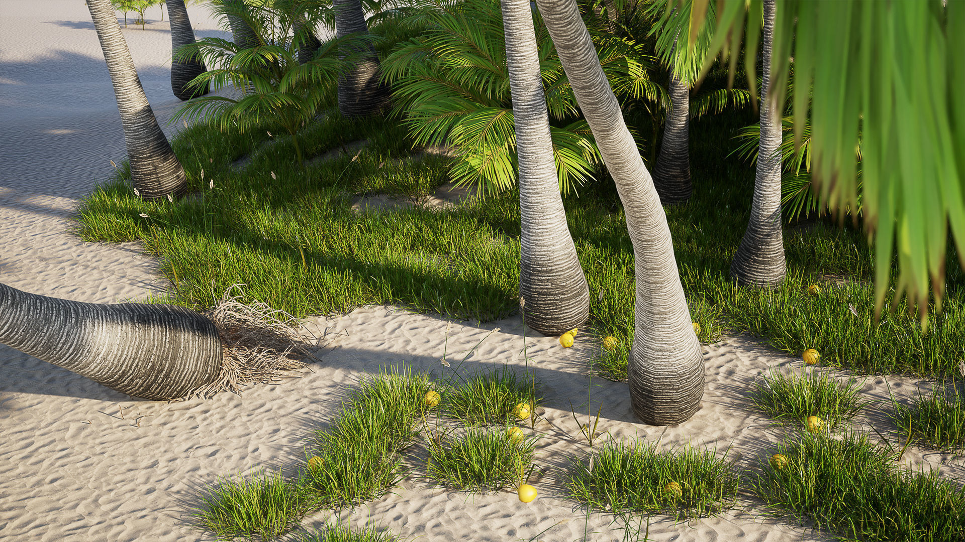 Tropical vegetation set 1 Low-poly 3D model_4