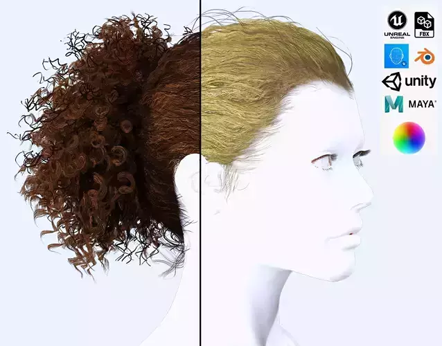 Realistic Curly Ponytail Hair