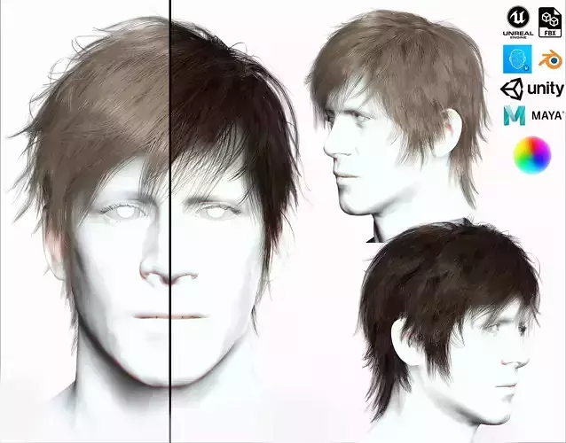 Realistic Male Hair Low-poly 3D model