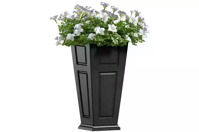 Modern Art Deco Petunia Flower Bed in Pot Plants Porch Balcony 