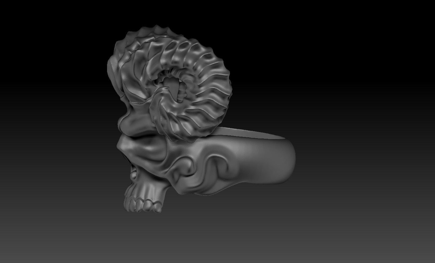 skull 3D print model_13