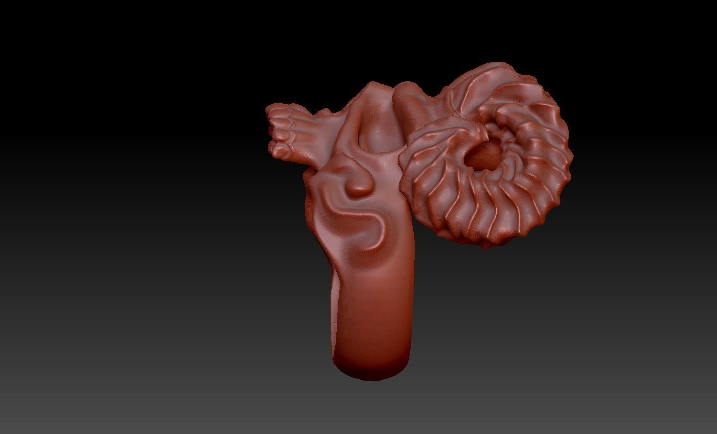 skull 3D print model_11