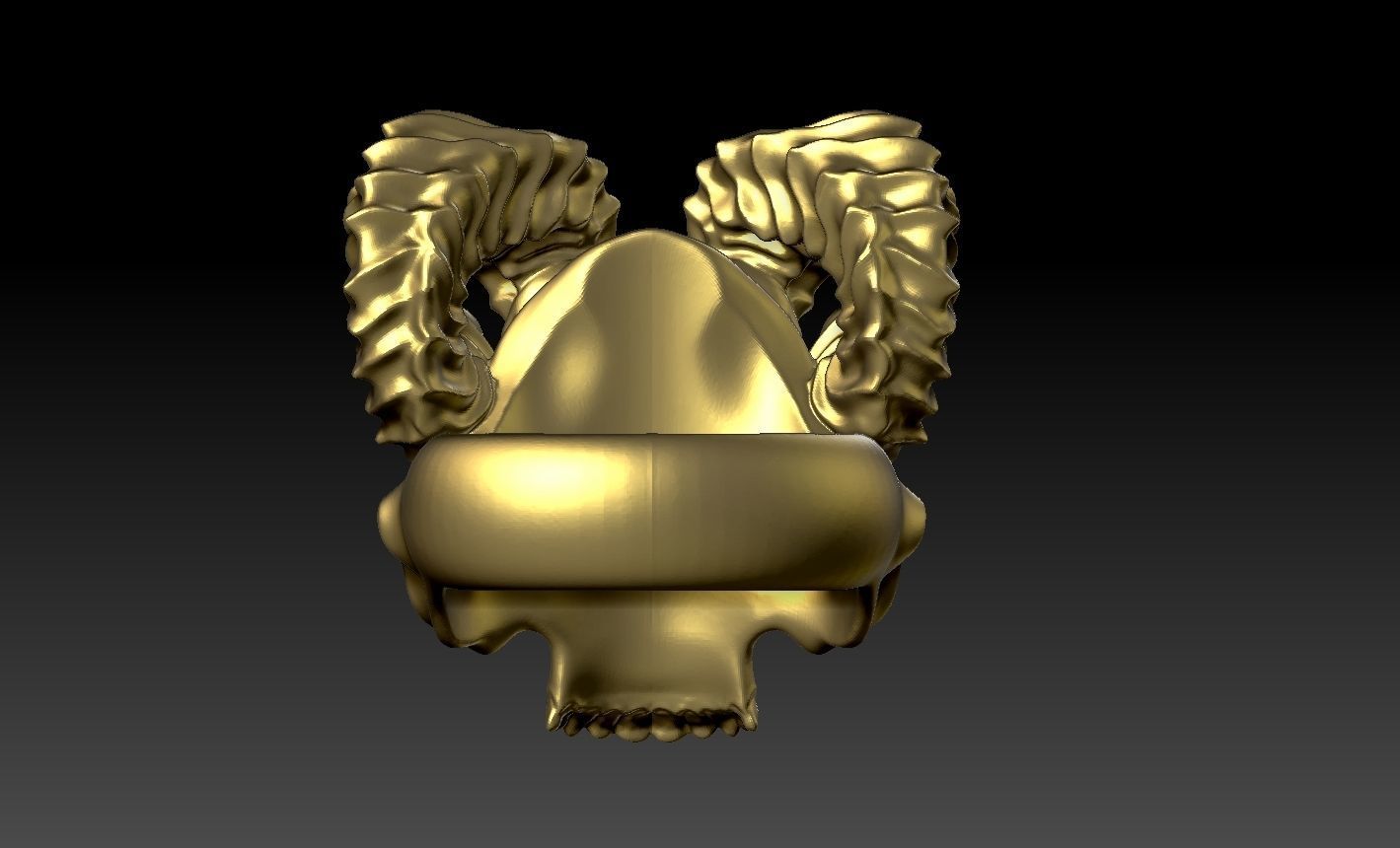 skull 3D print model_4