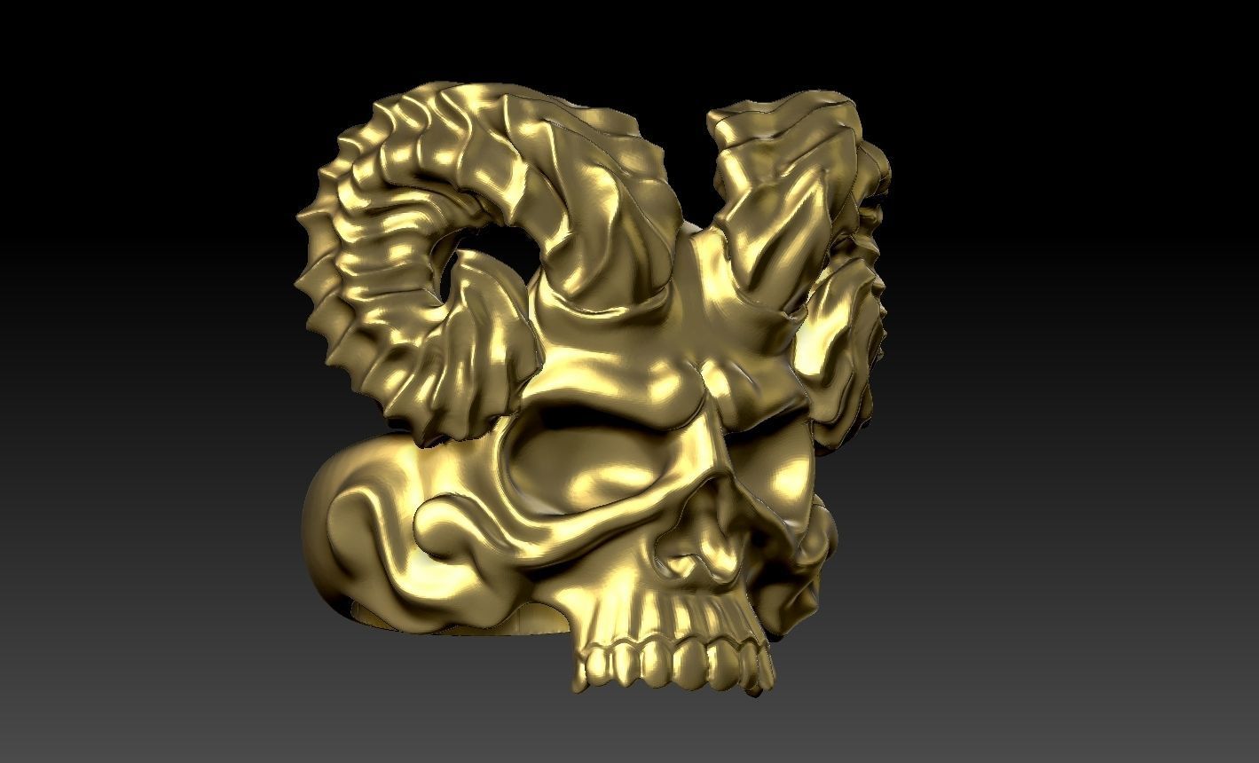 skull 3D print model_3