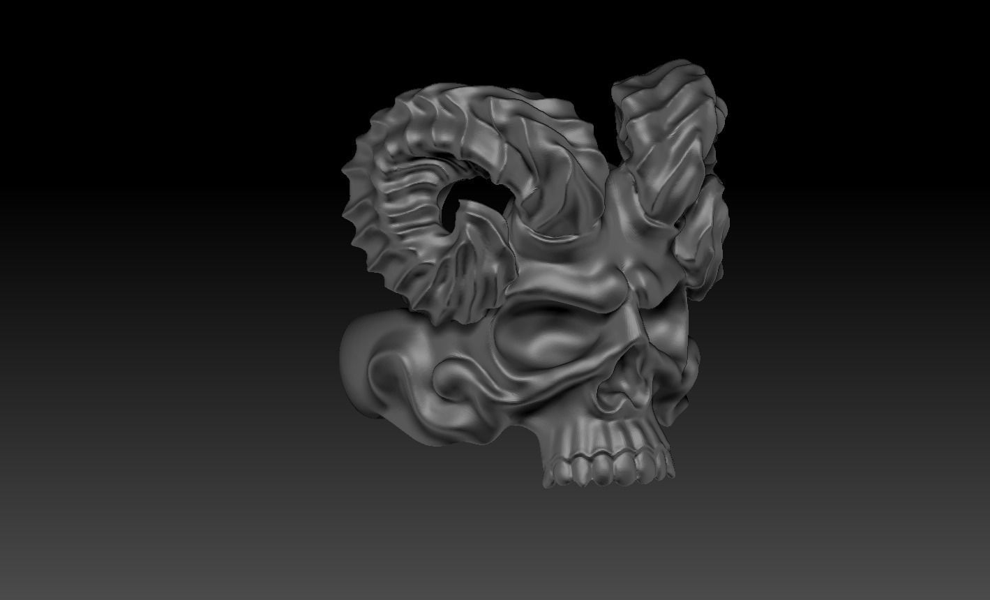 skull 3D print model_12
