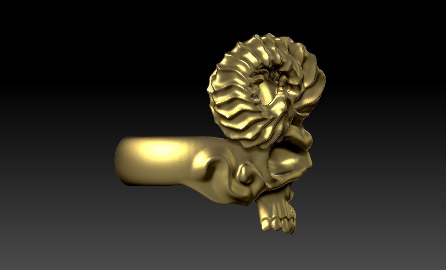 skull 3D print model_1