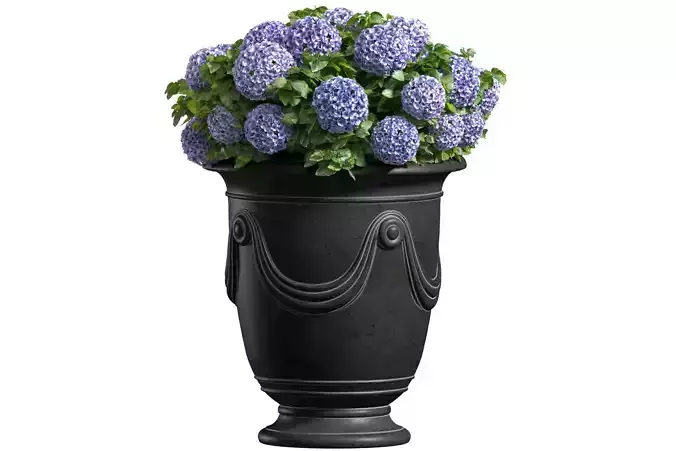 Hydrangea in a classic French Vase Front Entrance Porch 