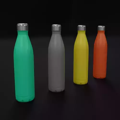 Metal painted bottle