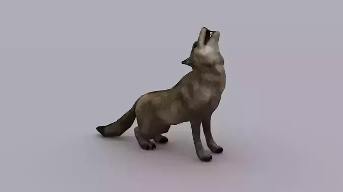 WOLF GAME READY ANIMATED MODEL Low-poly 3D model
