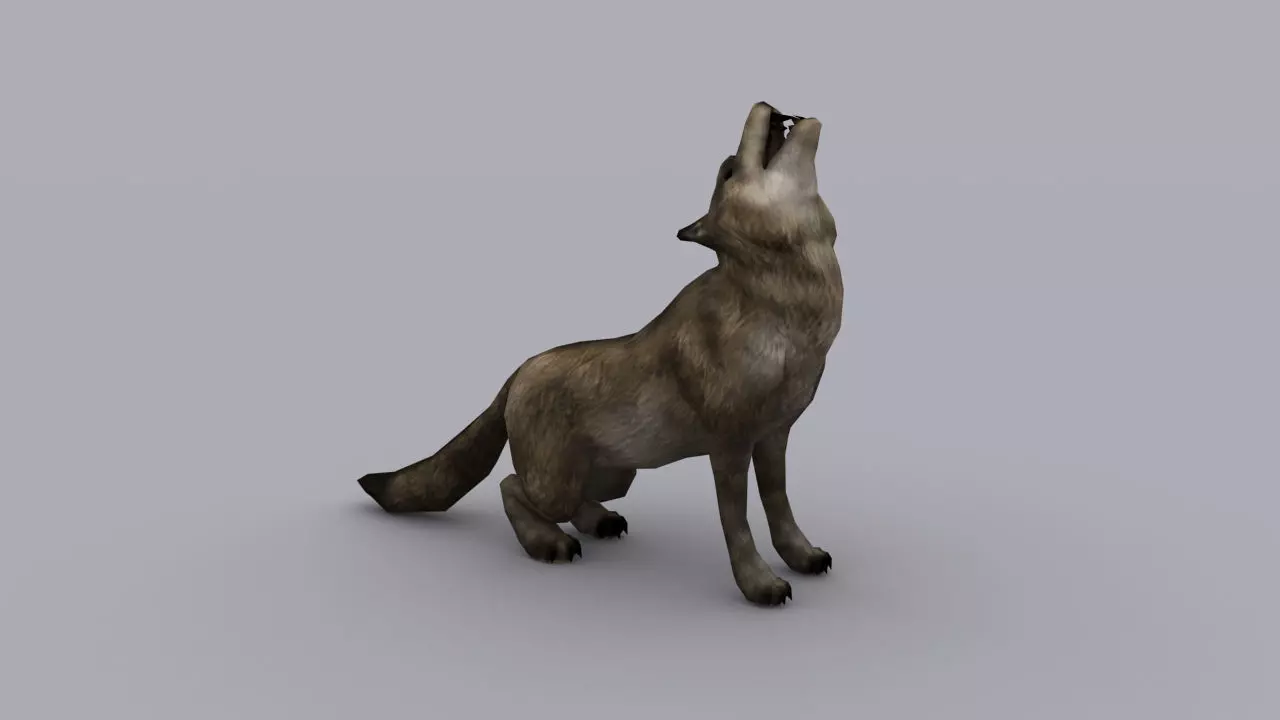 WOLF GAME READY ANIMATED MODEL Low-poly 3D model_0