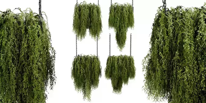 Collection plant vol 531 - blender model 