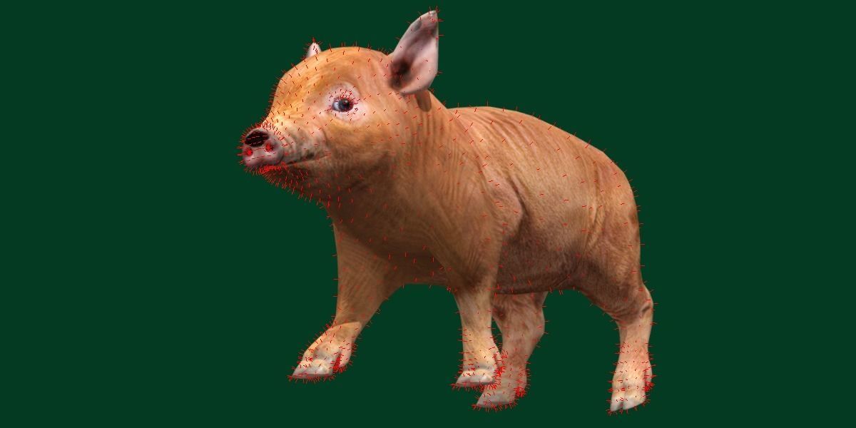 Miniature  Pig Animal Low-poly 3D model_12
