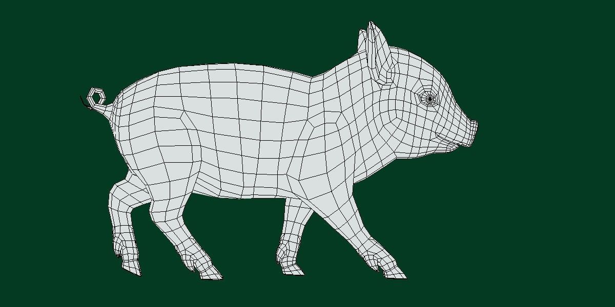 Miniature  Pig Animal Low-poly 3D model_11