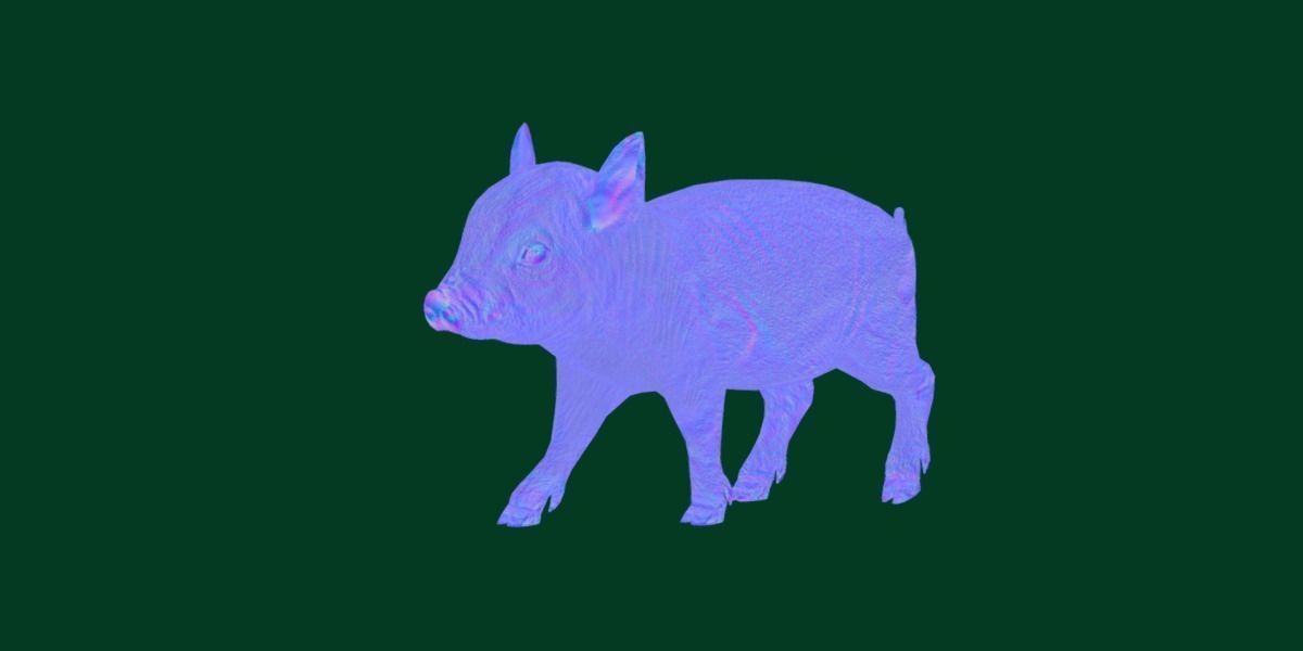 Miniature  Pig Animal Low-poly 3D model_24
