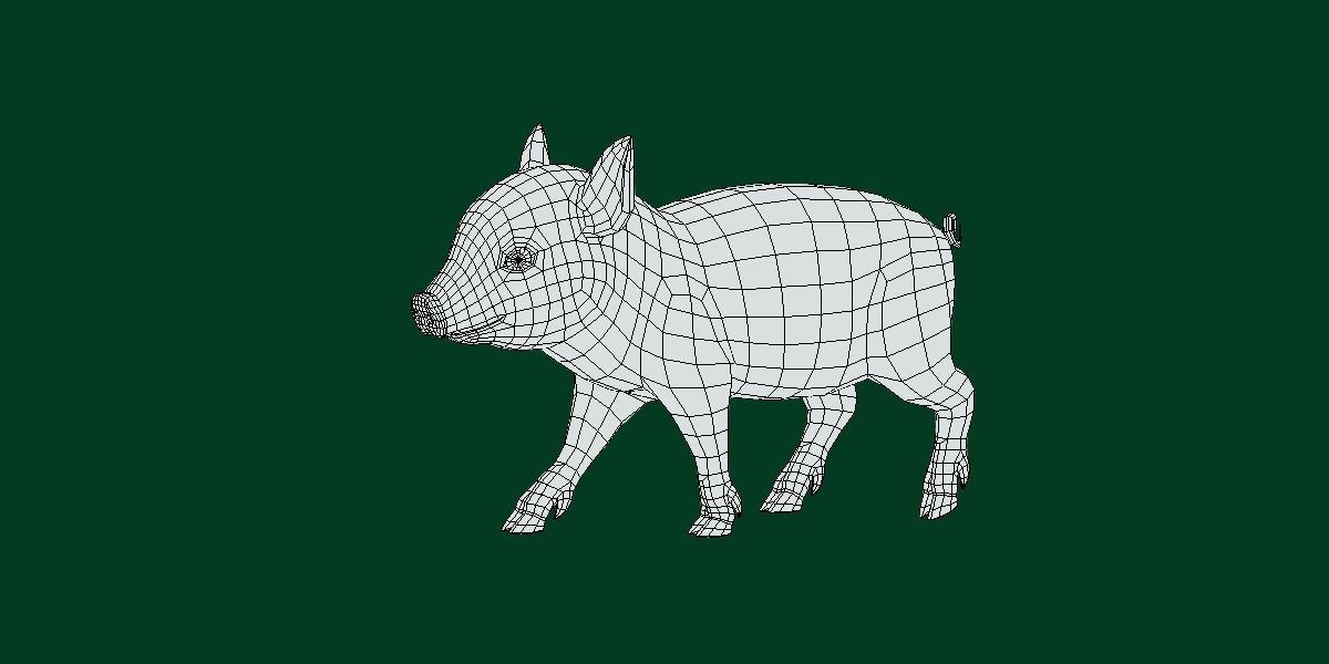Miniature  Pig Animal Low-poly 3D model_10
