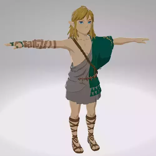 Legend of Zelda Tears of The Kingdom - Link   Archaic Tunic