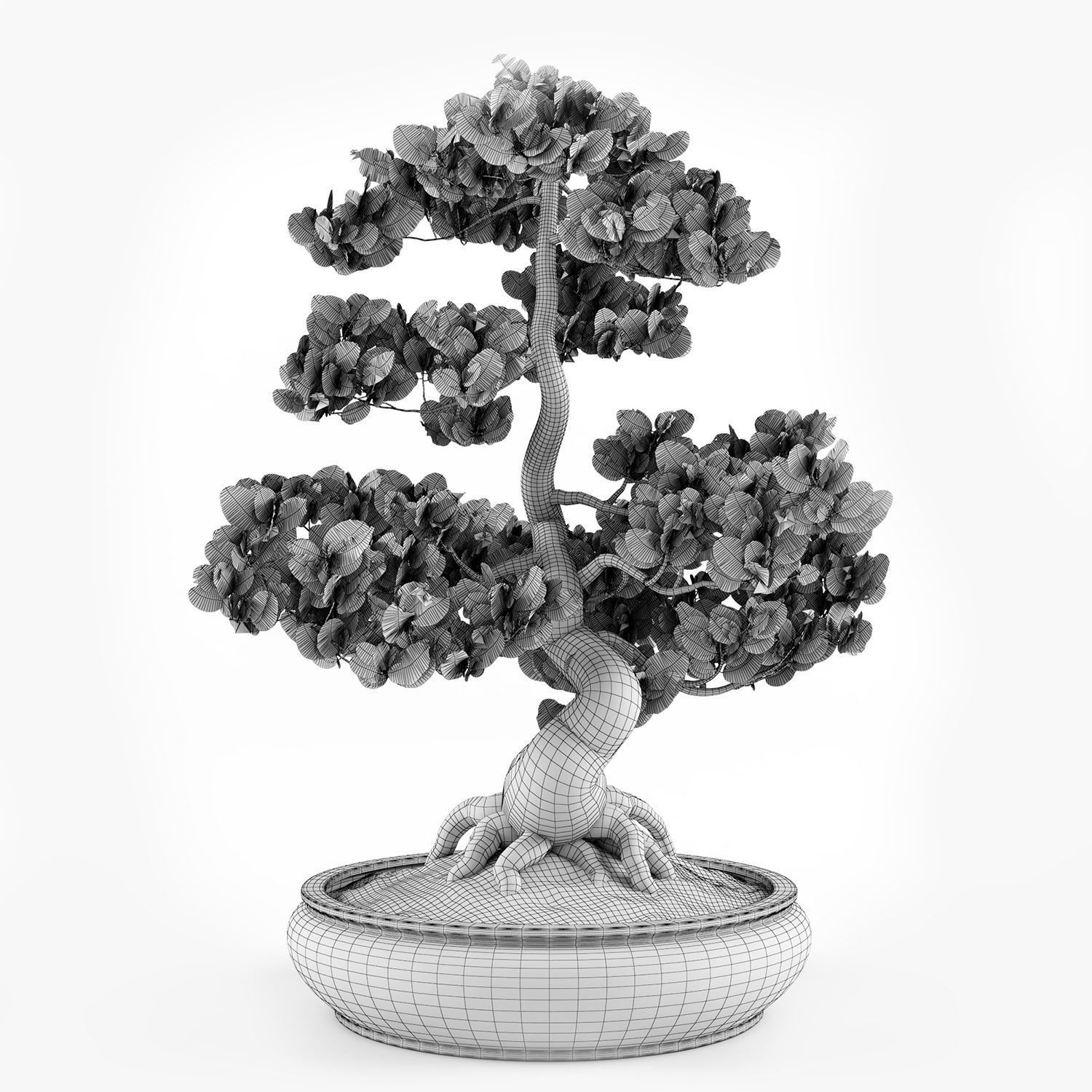 bonsai tree 3D model_8