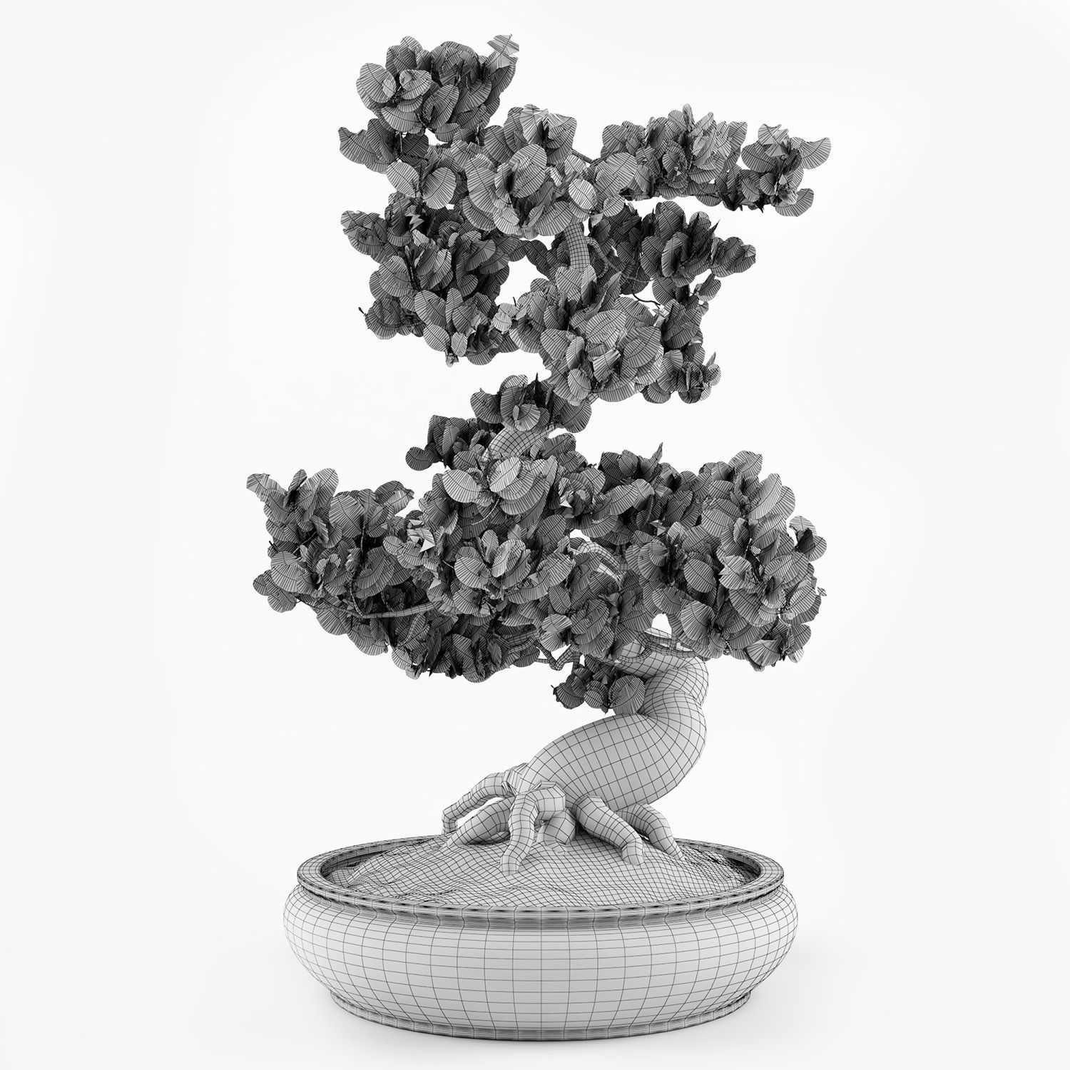 bonsai tree 3D model_7