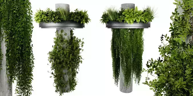 Collection plant vol 532 - blender model 